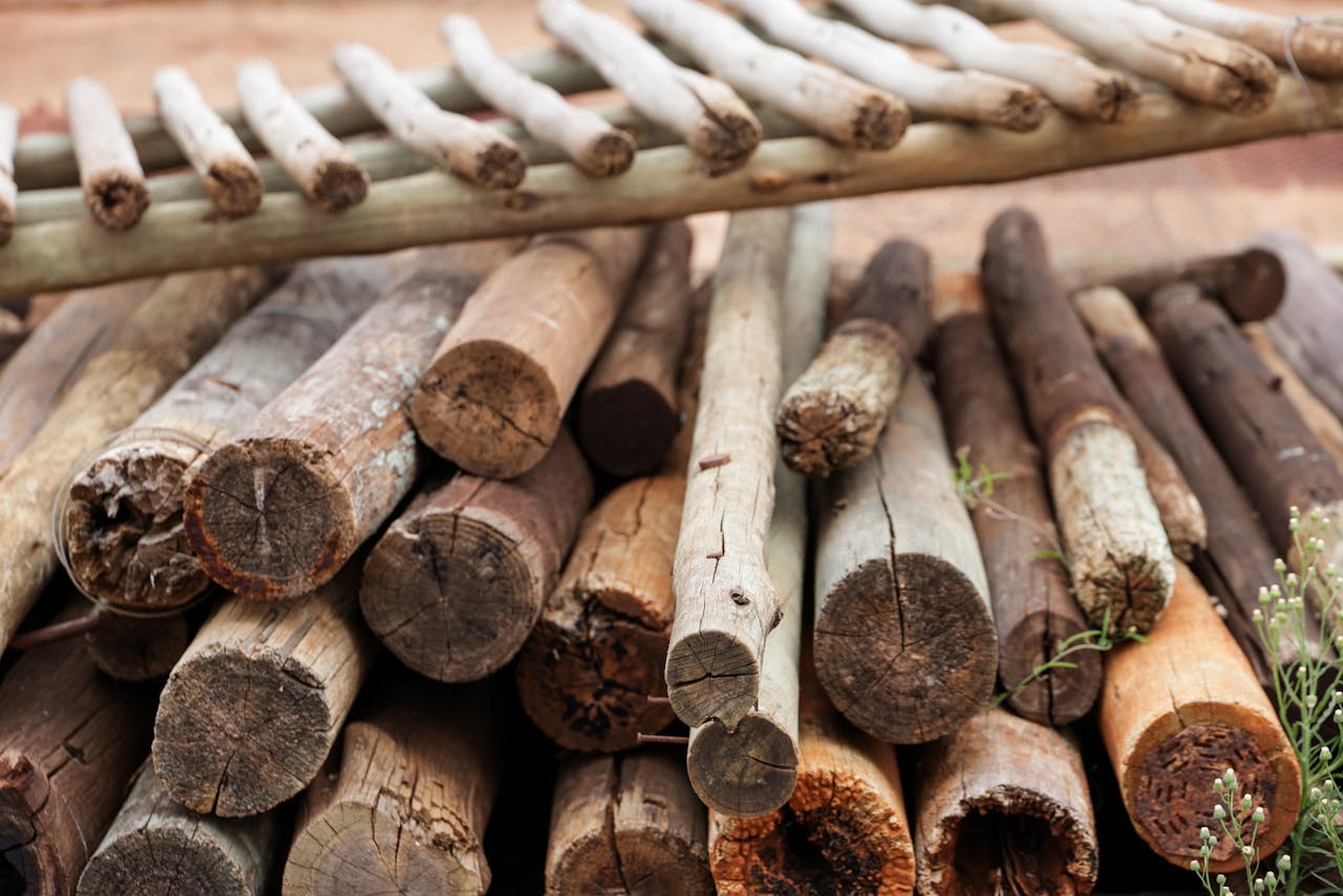 our-services-2 Free stock photo of background, wood, wooden poles